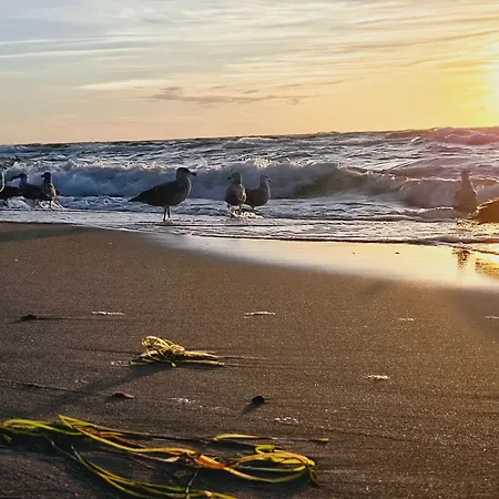Prázdninový dům Wavehouse *
