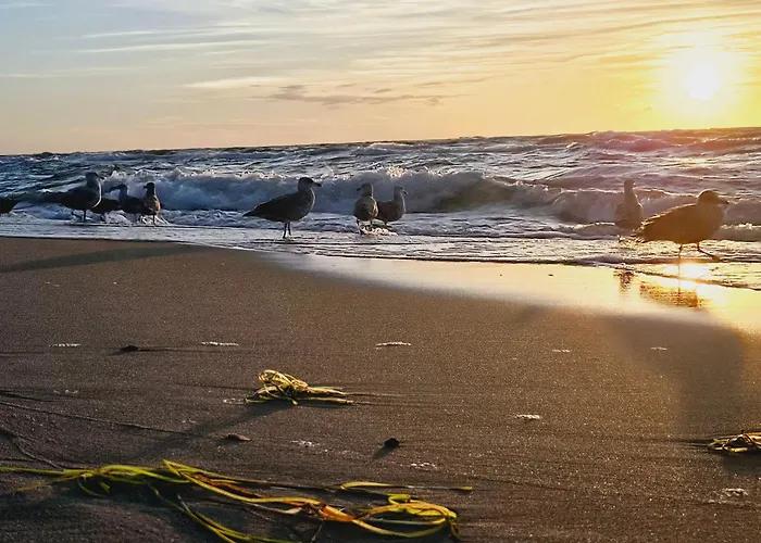 Дом отдыха Wavehouse *